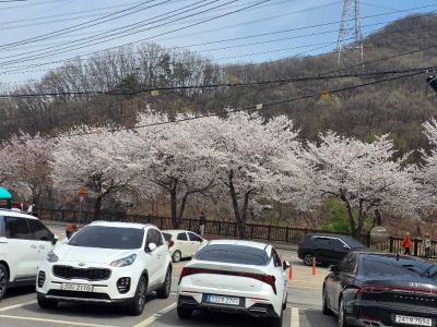빈우맘80